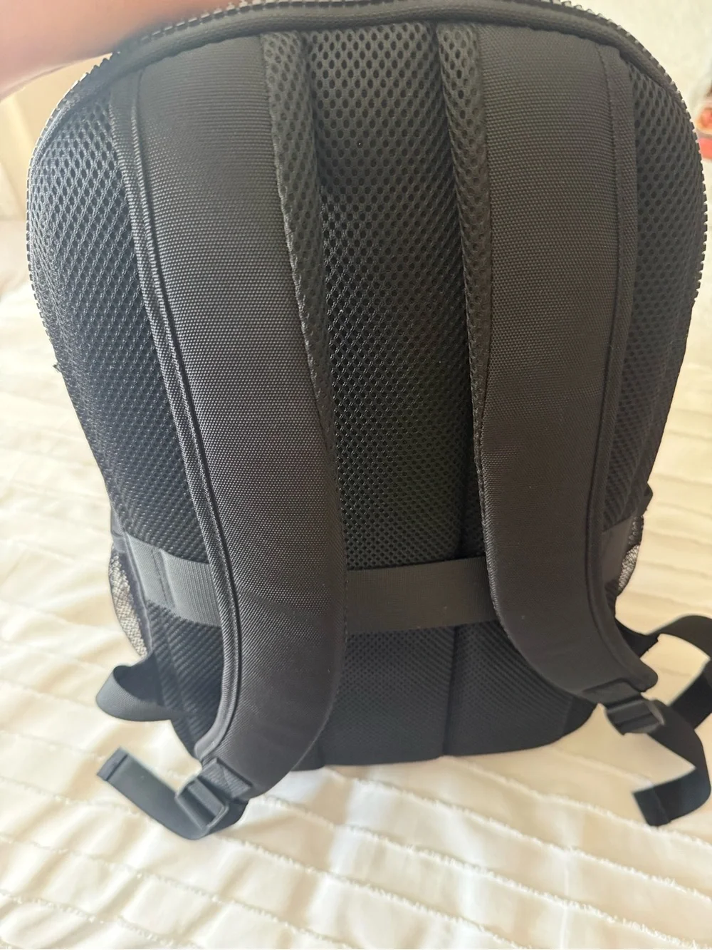 Backpack - Picture 2 of 6